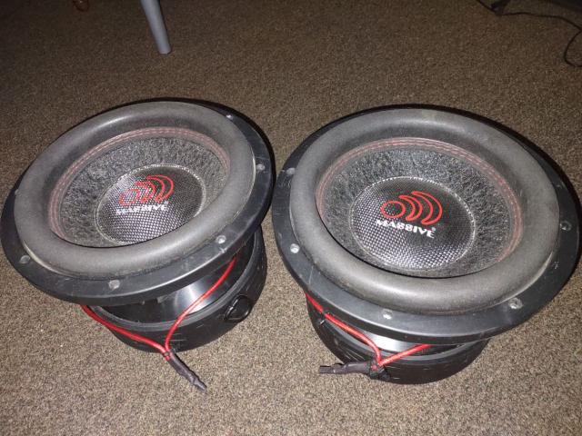 solo os selv Røg DS18 9,000 watt Amp and pair of 2000 watts RMS subwoofers in Burley, Cassia  County, Idaho - St. Charles County Buy, Sell, Trade